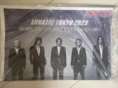 taka様 リクエスト 2点 まとめ商品