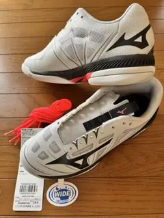 テニスシューズ カーペット 25cm