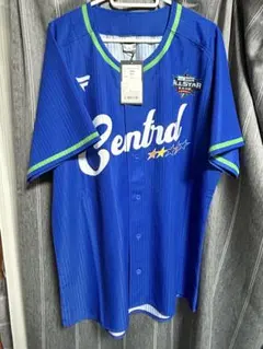 石井大智　阪神タイガース　ホームレプリカユニフォーム　Lサイズ　新品未使用 新品未使用 石井大智 L 阪神タイガース ホーム レプリカ