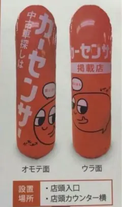 【新品未使用】カーセンザ パンディングパック