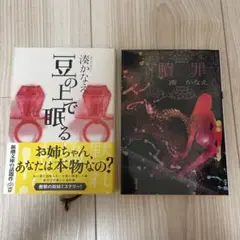 豆の上で眠る 贖罪　湊かなえ