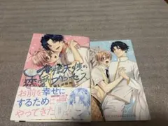 BL新刊 俺様天使の恋愛プロセス ほしの世界 アニメイトリーフレット