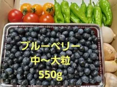 たっぷりブルーベリーと夏野菜セットのサムネイル
