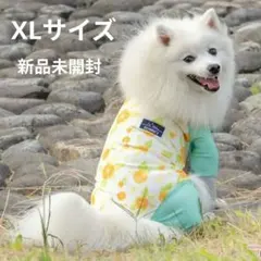 BROWNIE’S ブラウニーズ　ロンパース　XL ラッシュガード　ウェアのサムネイル