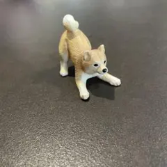 柴犬　ミニチュアプラネット　miniature planetのサムネイル