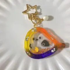 シャカシャカシェイカー レジンキーホルダー ハロウィン シマエナガ 星型チャーム