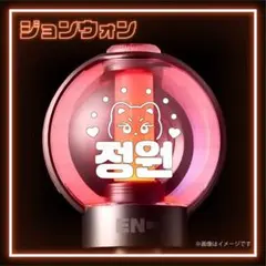 ENHYPEN エナプ ペンライト ステッカー ジョンウォン_cara01