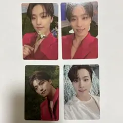 sector17 ディノ トレカ