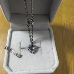 ANNA SUI ネックレス ハート パープルストーンSILVER925のサムネイル