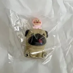 こびとづかん　おすわりマスコット４　シークレット　ガルシア＆カクレモモジリ