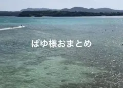 ぱゆ様 リクエスト 3点 まとめ商品