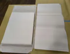 Item thumbnail for item cafea4a0-62c4-4be5-9887-6348d11d805b