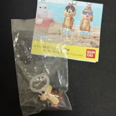 ディズニー Summer めじるしアクセサリー　チップ