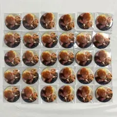 天馬司 缶バッジ 58b プロセカ ぼくのかみさま - メルカリ
