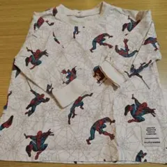 Item thumbnail for item 46e8214c-f133-4a2c-ac5e-ae67d4601405