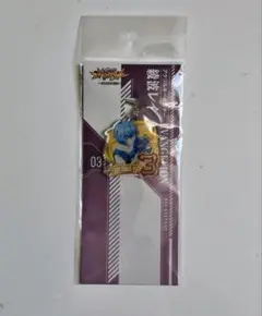 新世紀エヴァンゲリオン はじまりの記憶 アクリルキーホルダー 綾波レイ