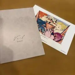 コテリ Veil 韓国版 店舗特典 イラストカード 10枚セット ポストカード