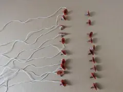 Item thumbnail for item 280bec3a-76df-49a1-8d04-54f3f8348c0b