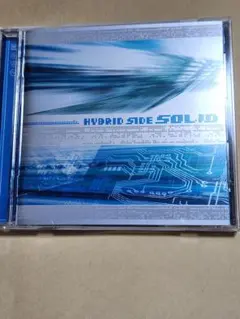 SOLID HYBRID SIDE デンジャークルーヴィジュアル系V系90年代