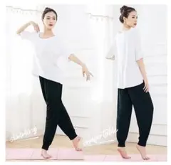 上下セット❣️ ヨガウェア レディース モダール ヨガ服 ダンス S-M