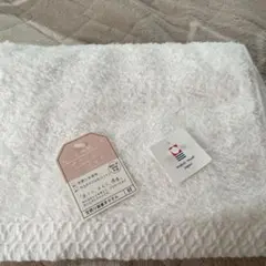 Item thumbnail for item 448967f2-d942-4c78-a9de-5207408ec157