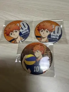 缶バッジ 日向翔陽 ハイキュープラザ