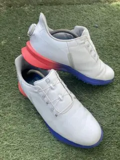 2026年最新】footjoy フットジョイ スパイクレスの人気アイテム - メルカリ