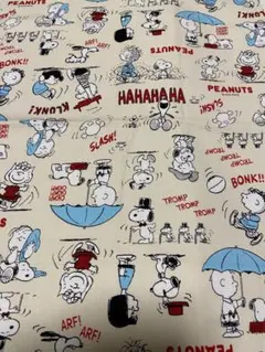 Item thumbnail for item 6d89f2a3-185f-4a41-8f06-8801267fa4b7