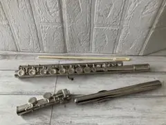 Item thumbnail for item 6d151a99-323c-4700-a016-a46946c21ce1