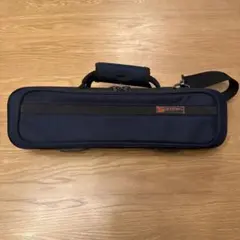 Item thumbnail for item 302fc1d9-9542-4f3b-bc18-7f55394ef490