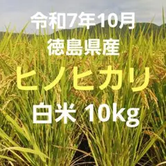 令和7年10月 徳島県産 ヒノヒカリ 白米 10㎏ 管理 保8-10-15のサムネイル