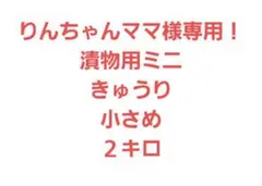 りんちゃんママ様専用！漬物用ミニきゅうり小さめ２キロ