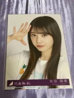 矢田萌華 生写真 Same Numbers