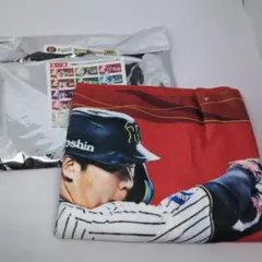 Item thumbnail for item b433ae14-f1cc-488c-9b17-92ac6bf78720