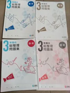 3年間の総整理問題集 数学 国語 正進社のサムネイル