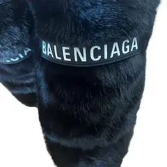 BALENCIAGA ファー ブーツ ブラックのサムネイル