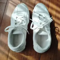 スニーカー 24.5cm 　ムーンスター