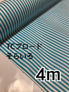 4m TCブロード そらいろ　ハギレ　生地