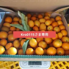 Kro0115さま専用です。他の方はご購入できません