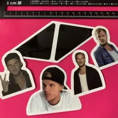 アヴィーチー　ステッカー　５枚