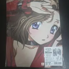 Item thumbnail for item 16f576ee-da4e-4ef2-a070-7fa721be9c37