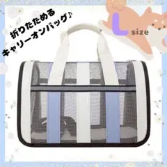 Item thumbnail for item 556783f3-0a26-4cb7-b272-5883c28a68bb