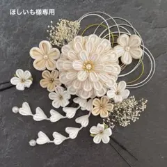 Item thumbnail for item 81042677-9c13-4b02-a5fc-fd401c684f7f