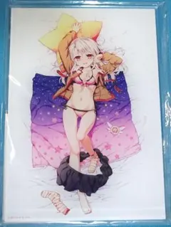 Fate/kaleid liner プリズマ ☆イリヤ nanaco額縁イラスト - メルカリ