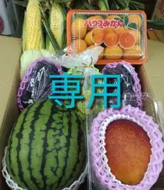 あかねこのは様専用ページです。