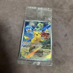 ハルカ様 リクエスト 2点 まとめ商品