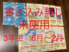 【値下げ】ピグマキッズくらぶ　3年生　6月〜2月、ドリル4月〜2月　SAPIXのサムネイル