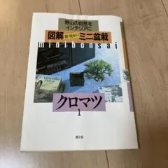 クロマツ