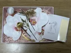 Hana Momo 헤드 드레스 머리 장식 웨딩