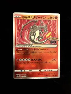 美品モルペコV UNION 4枚セット